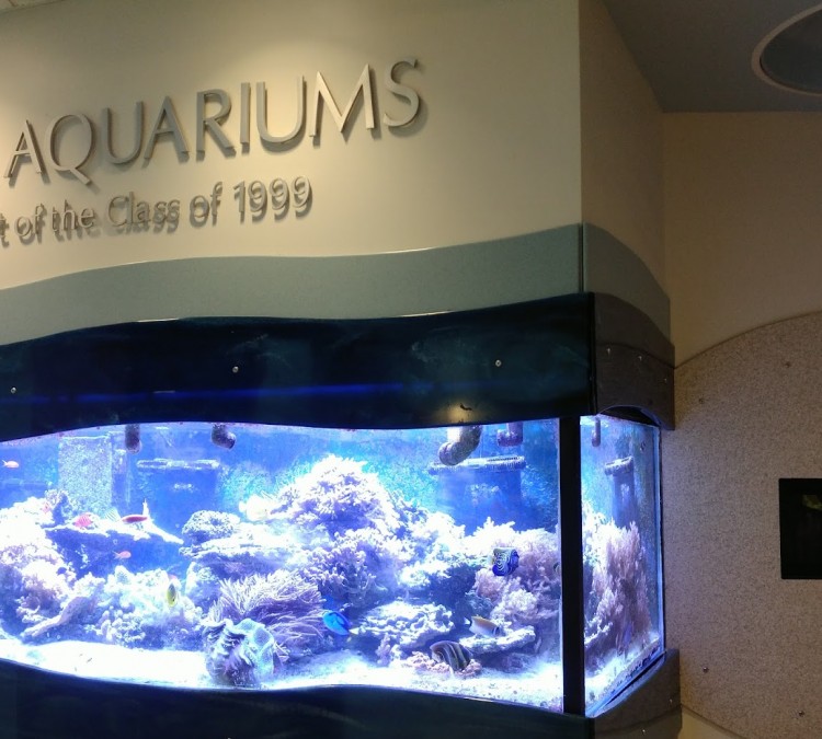 The Aquariums (State&nbspCollege,&nbspPA)
